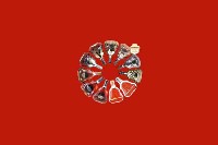 吉州区回收红酒